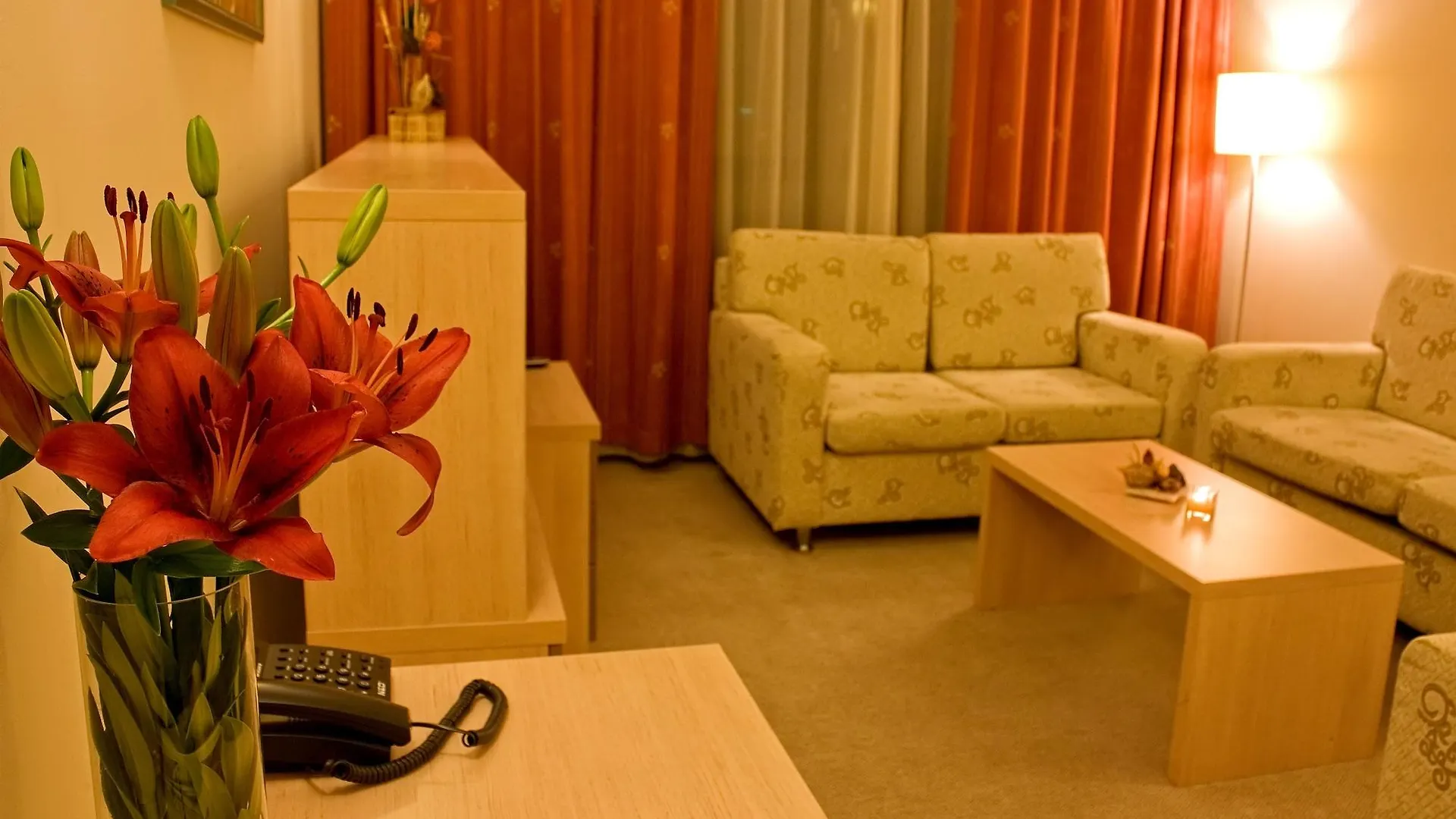 Vitosha Park Hotel - Free Indoor Pool & Parking Sofia 4*,  Bulgarie